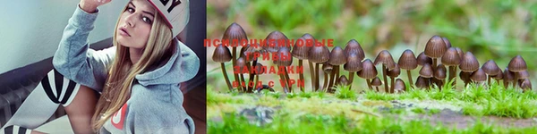 мяу мяу кристалл Михайлов