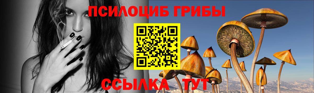 Псилоцибиновые грибы Psilocybine cubensis Зеленогорск